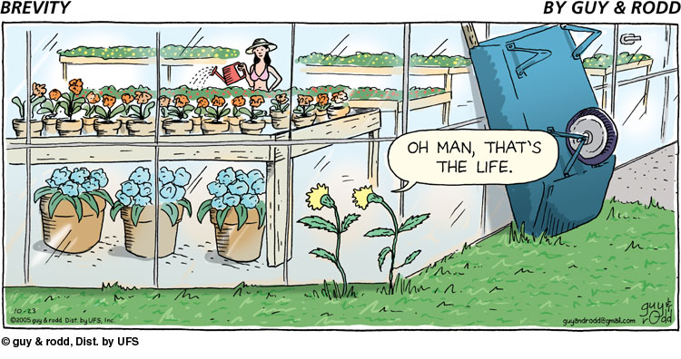 brevity